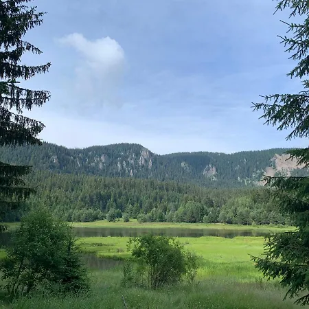 Lovely Forest Escape, Mountain Lake Complex Διαμέρισμα *