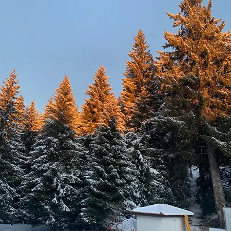 Lovely Forest Escape, Mountain Lake Complex Διαμέρισμα *